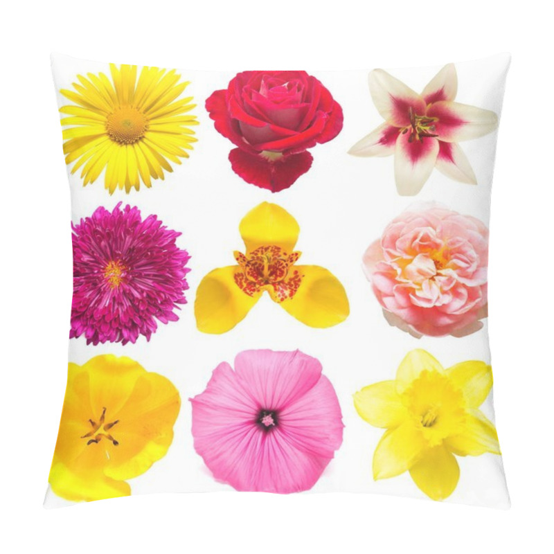 Personality  Flowers Collection Of Assorted Chrysanthemum, Tigridia, Mallow,  Pillow Covers