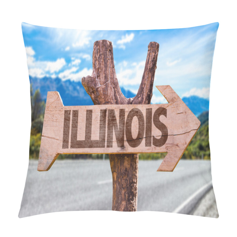 Personality  Illinois Wooden Sign Pillow Covers