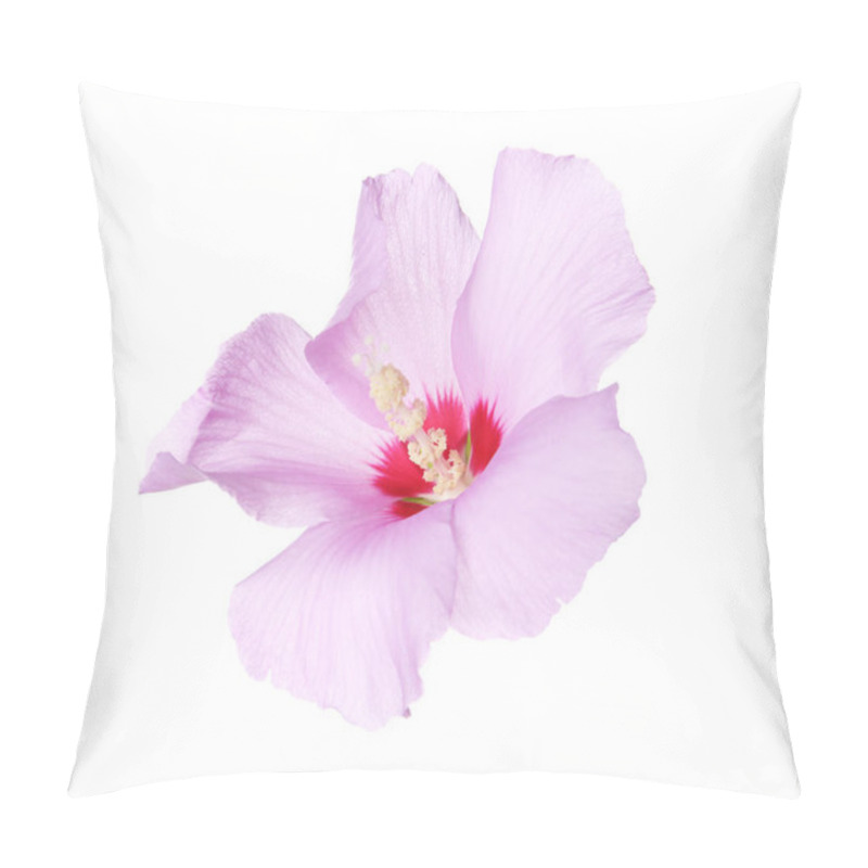 Personality  Beautiful Tropical Hibiscus Flower On White Background Pillow Covers