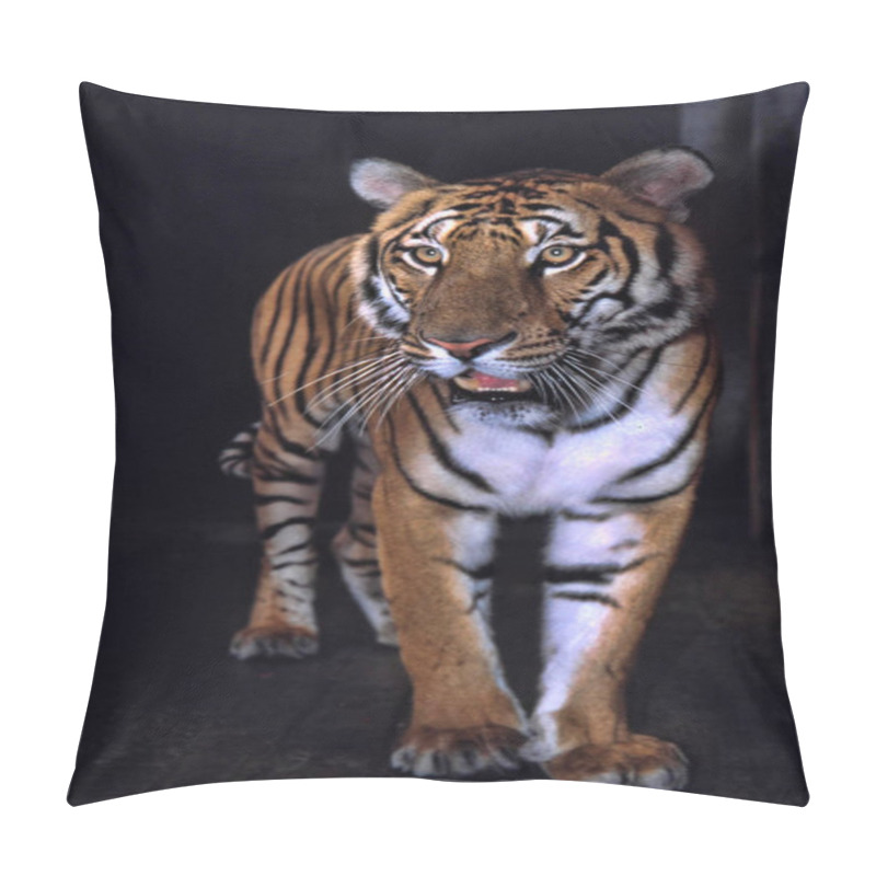 Personality  The Most Precious Tiger, The South China Tiger Panthera Tigris Amoyensis Pillow Covers