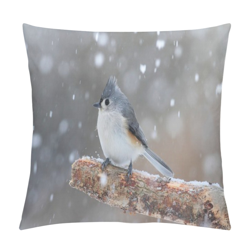 Personality  Titmouse In Snow Pillow Covers