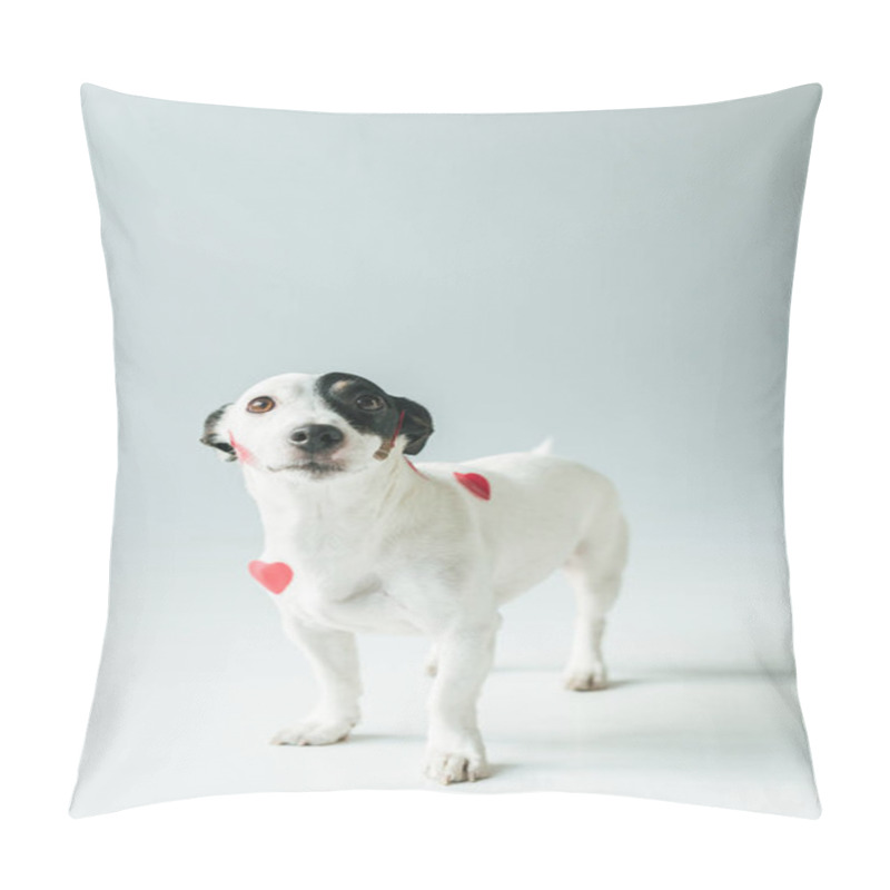 Personality  Jack Russell Terrier Dog In Red Hearts For Valentines Day, On White Pillow Covers