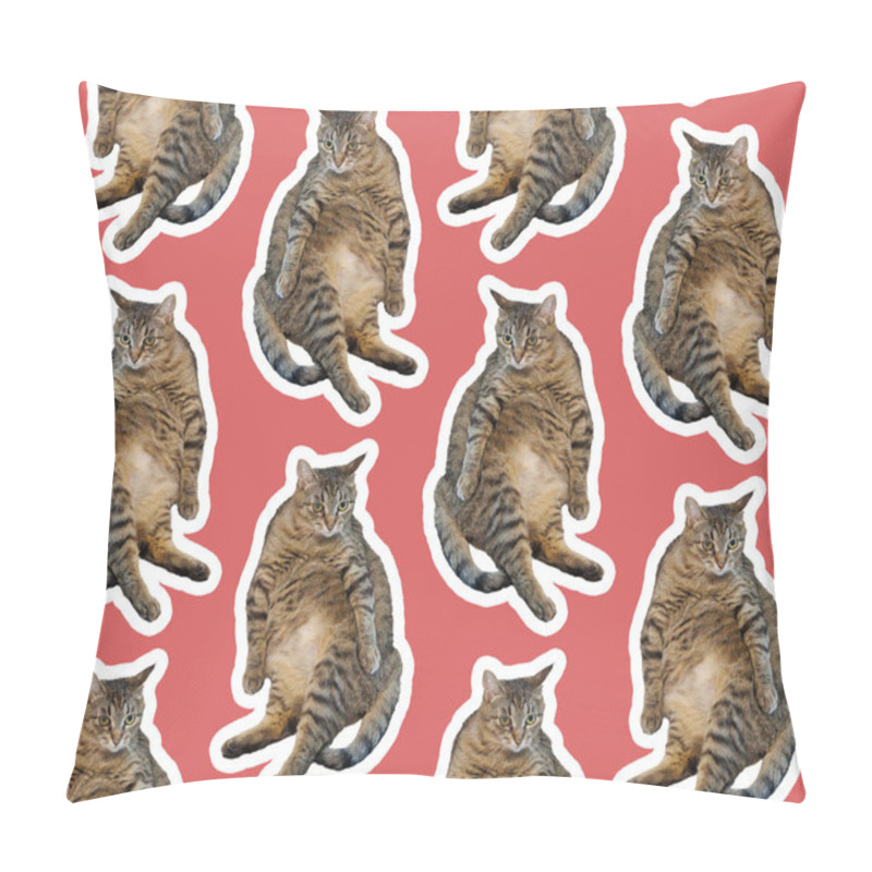 Personality  Collage Cat Funny Cat On Red Background. Seamless Repeating Pattern Pillow Covers