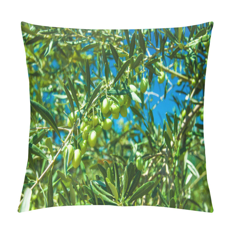 Personality  Olive Trees At Greece Country Side Pillow Covers