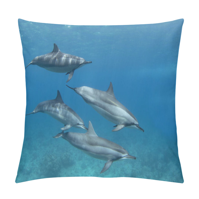 Personality  Spinner Dolphin Close To Surface. Marine Life In Indian Ocean. Dolphins With Light Stripes. Group Of Dolphins Near The Mauritius Coast. Pillow Covers