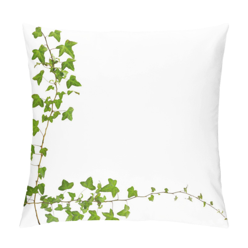 Personality  Sprig Of Ivy With Green Leaves Isolated On White Background. Com Pillow Covers