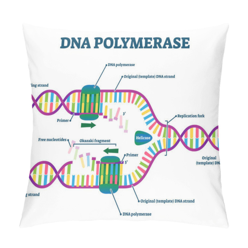 Personality  DNA Polymerase Enzyme Syntheses Labeled Educational Vector Illustration. Pillow Covers