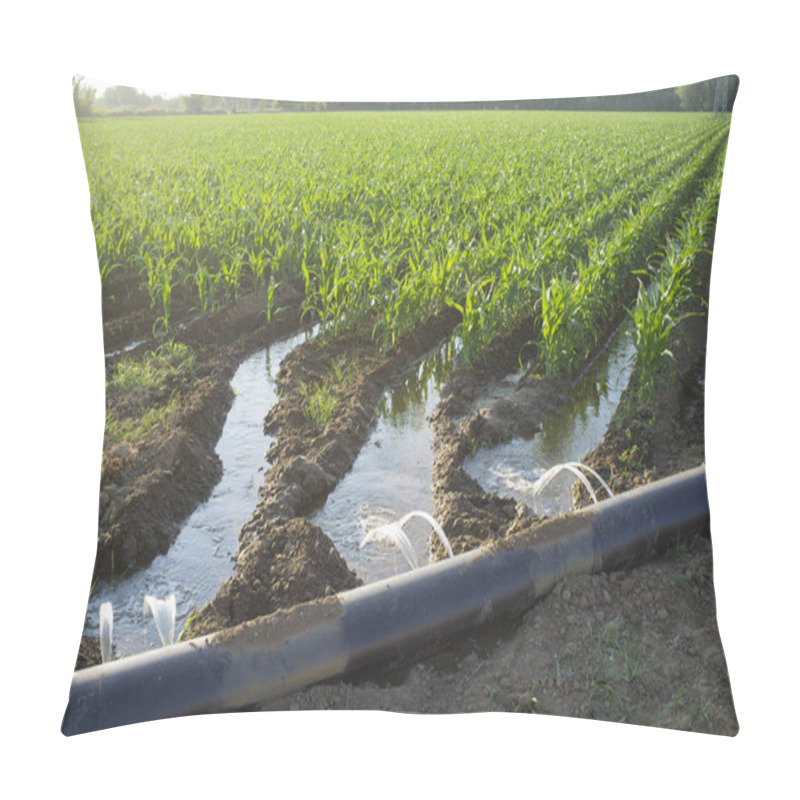 Personality  Lay-flat Irrigation Tube System For Leveled-to-grade Cornfield,  Pillow Covers