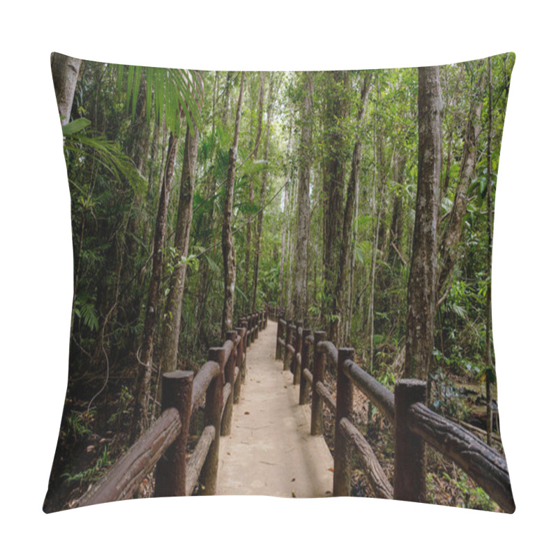 Personality  Southeast Asian Tropical Rainforest With Path, Thailand. Jungle Landscape. Idea And Concept Of Adventure, Recreation From The Noise Of The City Pillow Covers