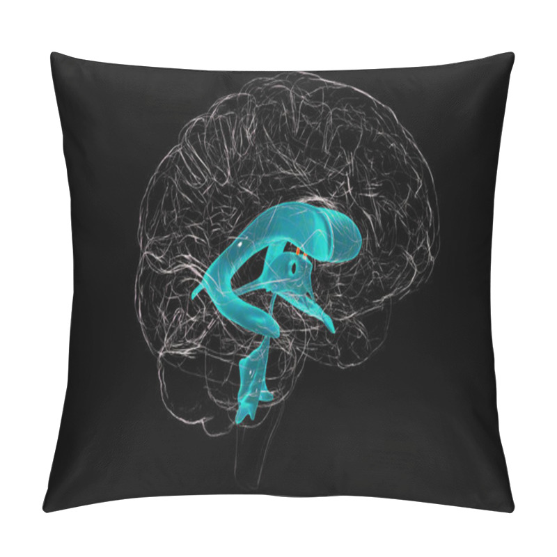 Personality  The Interventricular Foramen, The Foramen Of Monro, A Passage That Connects The Brain Lateral Ventricles, Allowing Cerebrospinal Fluid To Flow Between Them And The Third Ventricle, 3D Illustration. Pillow Covers