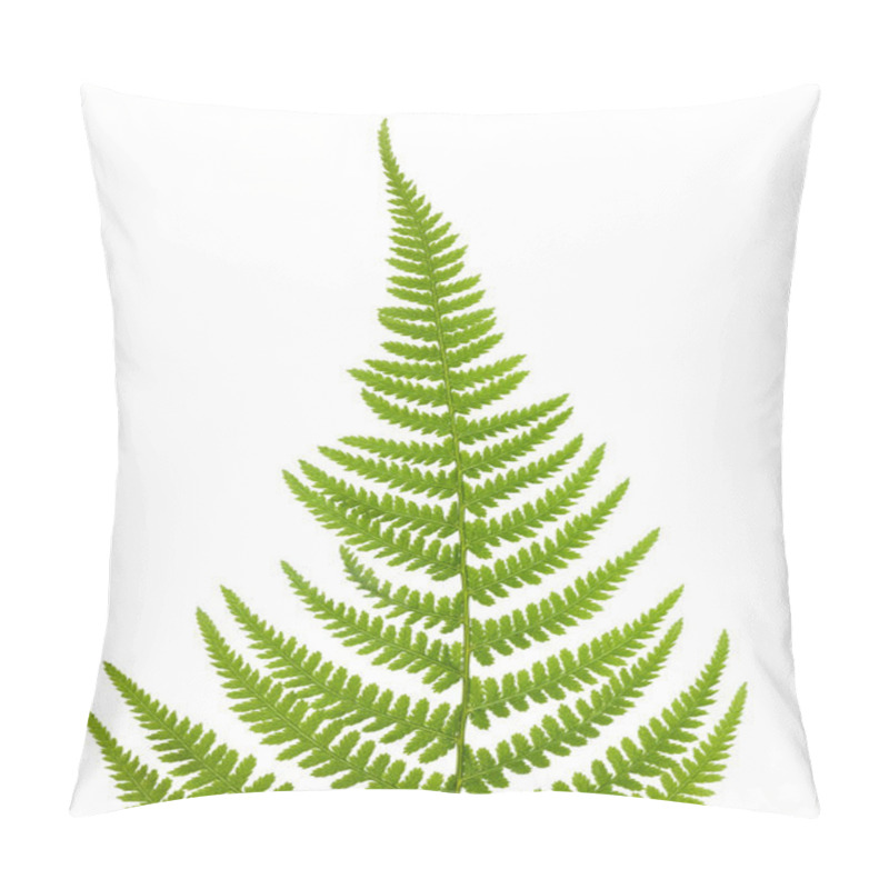 Personality  Fern (Pteridium Aquilinum) Pillow Covers