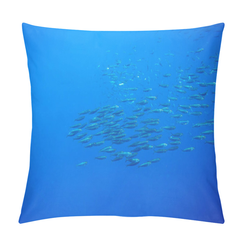 Personality  Sea Sardine Colony In Blue Ocean. Massive Fish School Undersea Photo. Huge Fish School Swimming In Seawater. Mackerel Shoal. Oceanic Wildlife. Sea Sardines. Fishing For Seafood. Salt Water Fish Shoal Pillow Covers