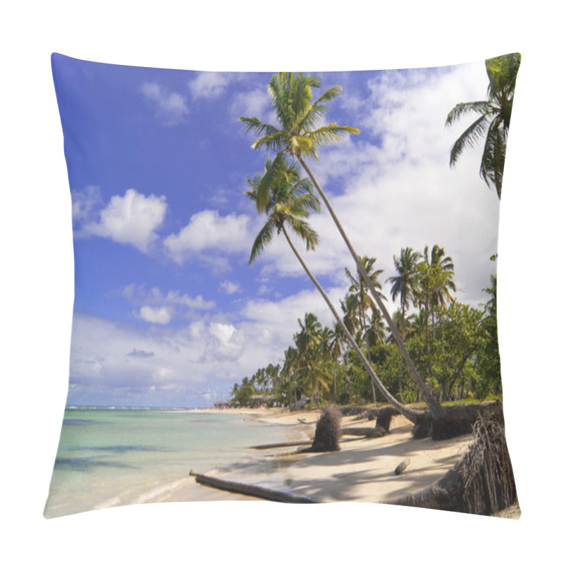 Personality  Wild Caribbean Beach. Samana. Pillow Covers