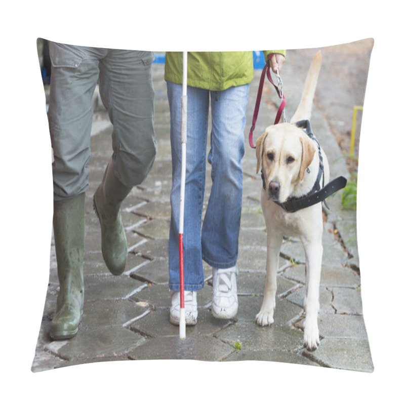 Personality  Blind Person With Her Guide Dog Pillow Covers