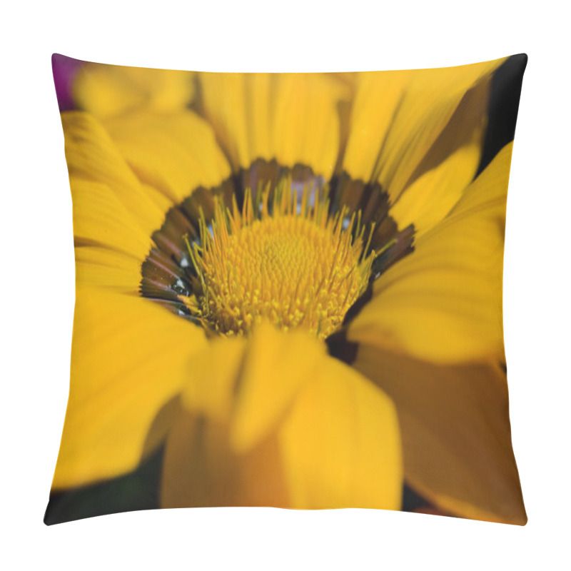 Personality  Gerbera Pillow Covers