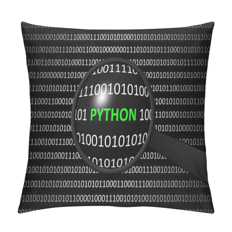 Personality  Binary Code With PYTHON And Magnifying Lens Pillow Covers