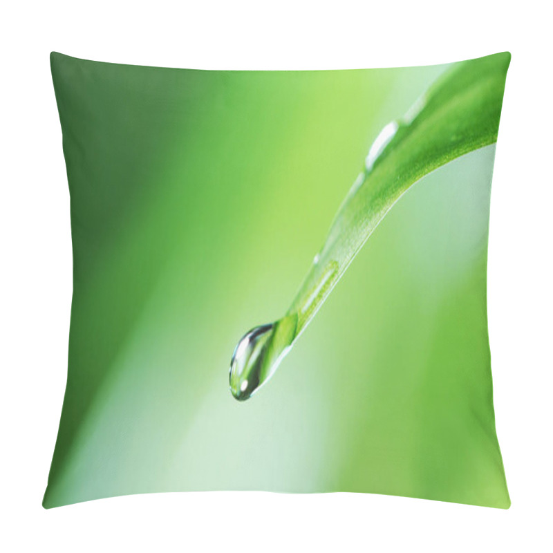 Personality  Falling Water Drop From Leaf Pillow Covers