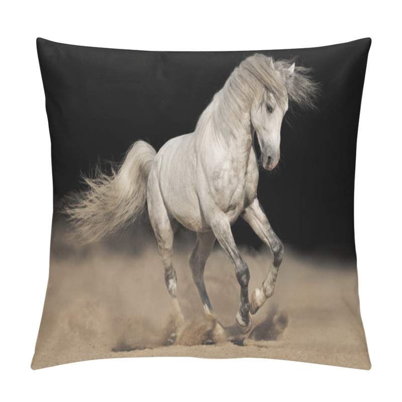 Personality  Silver Gray Andalusian Horse In Desert On Black Background Pillow Covers