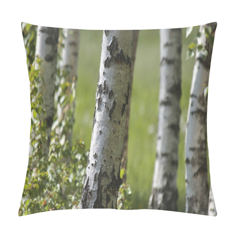 Personality  Spring Birch Trees With Green Meadow On Background Pillow Covers