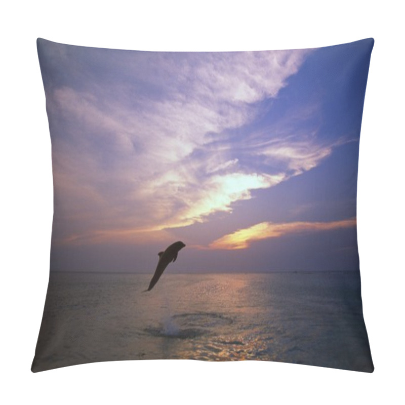 Personality  Bottlenose Dolphin Leaping At Sunset, Caribbean Sea Pillow Covers