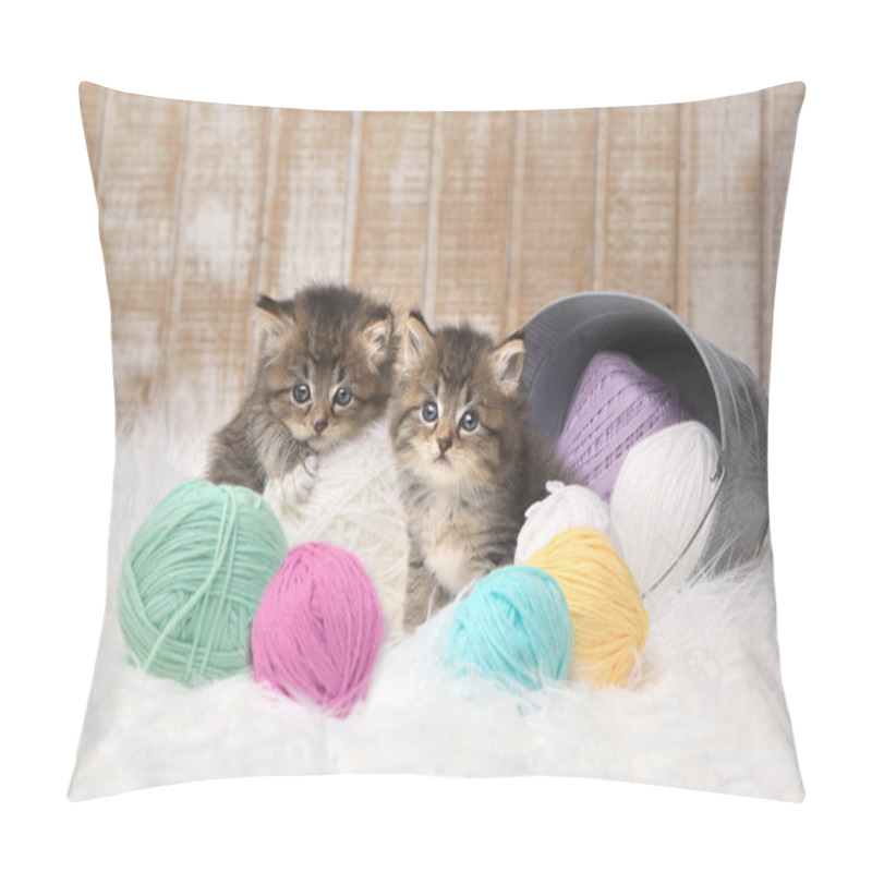 Personality  Kittens With Balls Of Yarn In Studio Pillow Covers