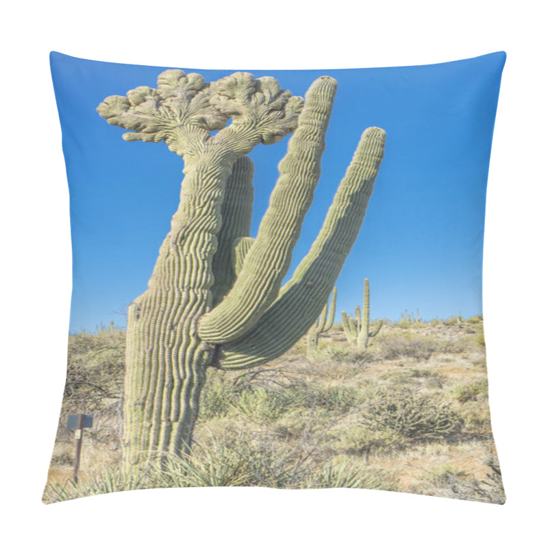 Personality  The Giant Crested Saguaro Plant In The Desert Under The Blue Sky Pillow Covers