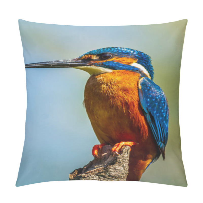 Personality  Kingfisher (Alcedo Atthis) Perched On A Branch Pillow Covers