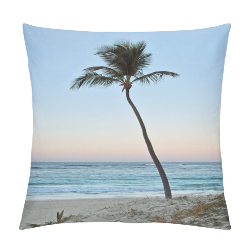 Personality  Palm Tree At Evening Time Pillow Covers