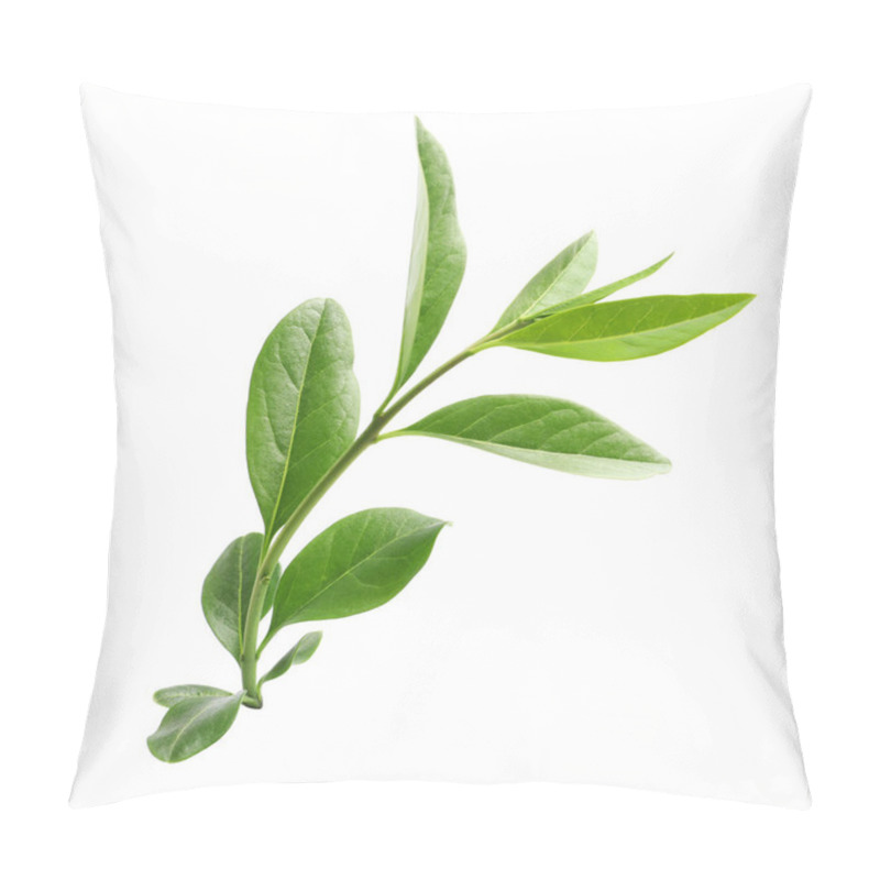 Personality  Branch With Green Leaves On White Background Pillow Covers