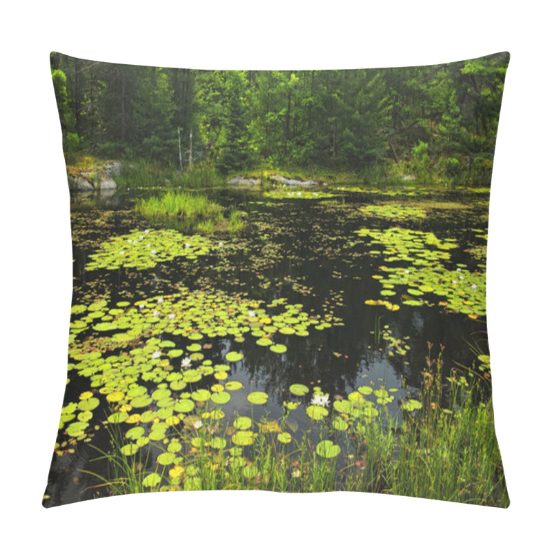 Personality  Lily Pads On Lake Pillow Covers