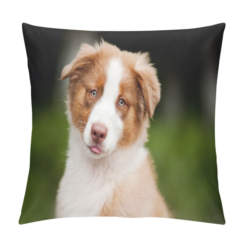 Personality  Cute Funny Puppy Australian Shepherd Pillow Covers