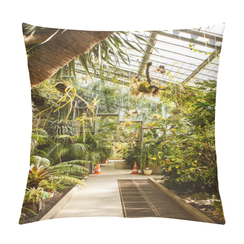 Personality  A Greenhouse Of Various Palm Trees, Tropical Plants Conservatory. Green Shrubs And Trees Cultivation. Green Space In Botanical Garden. Vertical Photo. Ecology Concept. Pillow Covers