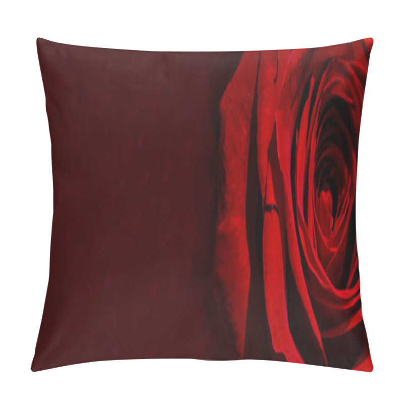 Personality  Red Rose. Red Rose Isolated On A Dark Background. Red Rose Isolated On Wooden Background. Floral Background. Flowers Closeup. Wediding And Valentine. The Rose Petals. Pillow Covers