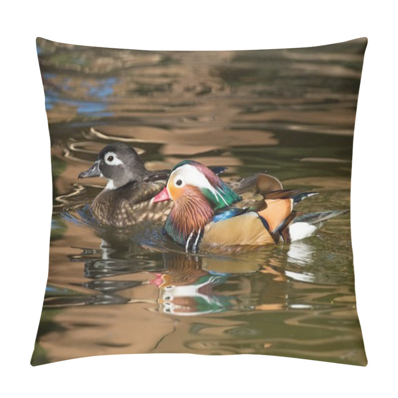 Personality  Female Wood Duck And A Male Mandarin Duck Gliding On The Water Pillow Covers