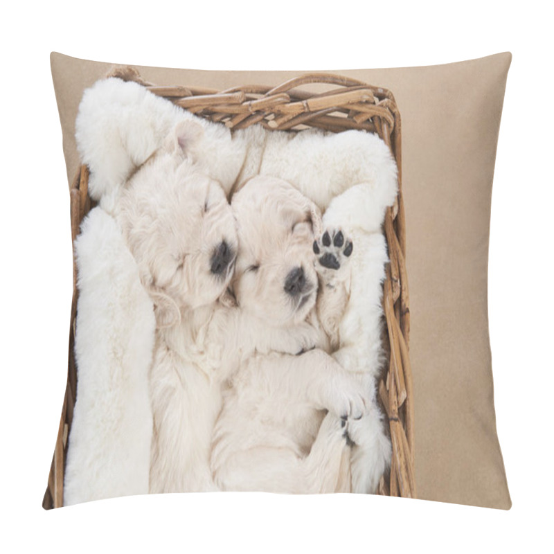 Personality  Puppies In A Basket On A Beige Background. Golden Retriever In The Studio. Cute Dog Pillow Covers