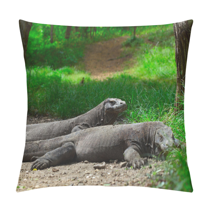 Personality  Komodo Pillow Covers