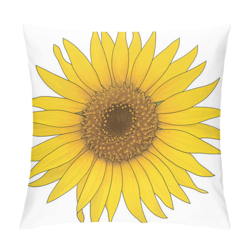 Personality  Abstract Of Sunflower On White Background. Pillow Covers