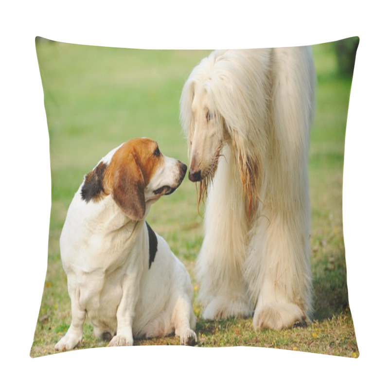 Personality  Two Dogs Pillow Covers