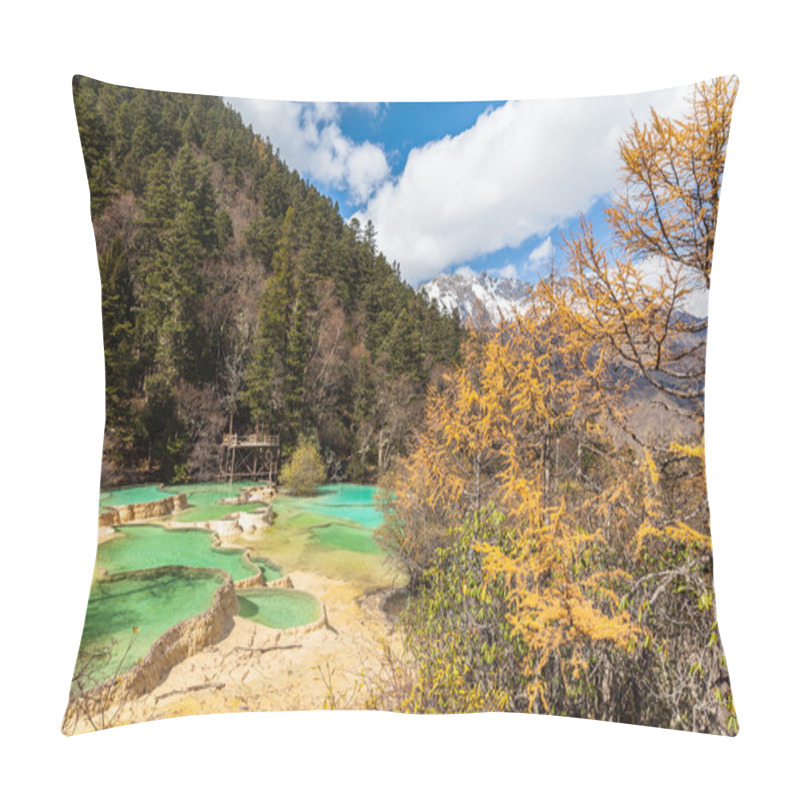 Personality  Huanlong National Park In Sichuan Province, China Pillow Covers