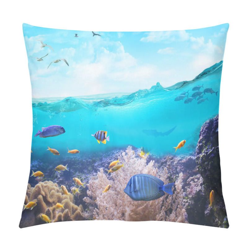 Personality  Marine Life In Tropical Waters. Pillow Covers