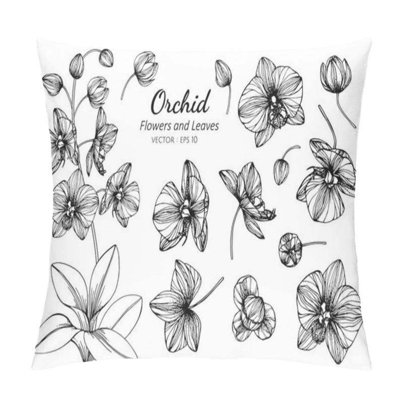 Personality  Collection Set Of Orchid Flower And Leaves Drawing Illustration. Pillow Covers