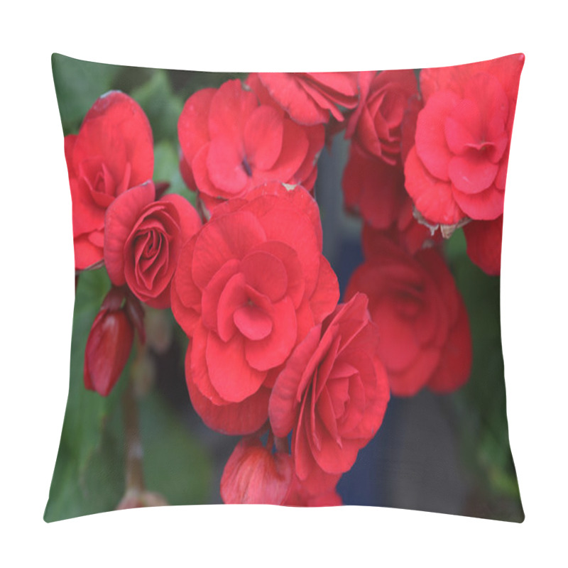 Personality  Begonia Flower Pillow Covers