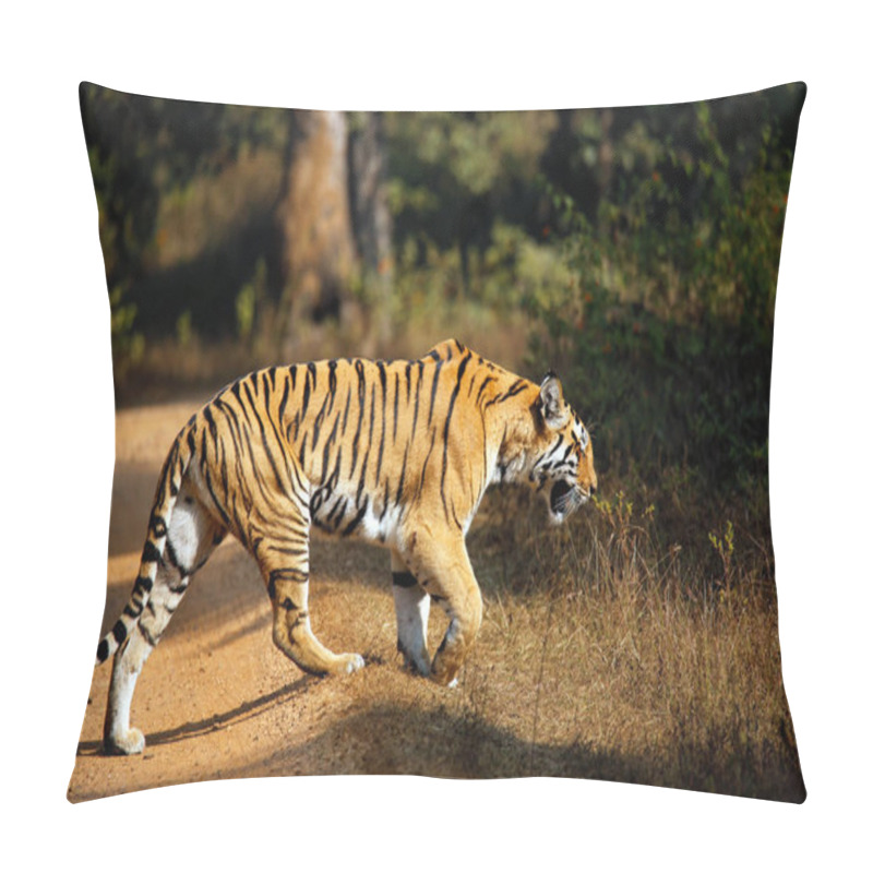 Personality  Bengal Tiger (Panthera Tigris Tigris) Walking. Pench National Park, India Pillow Covers