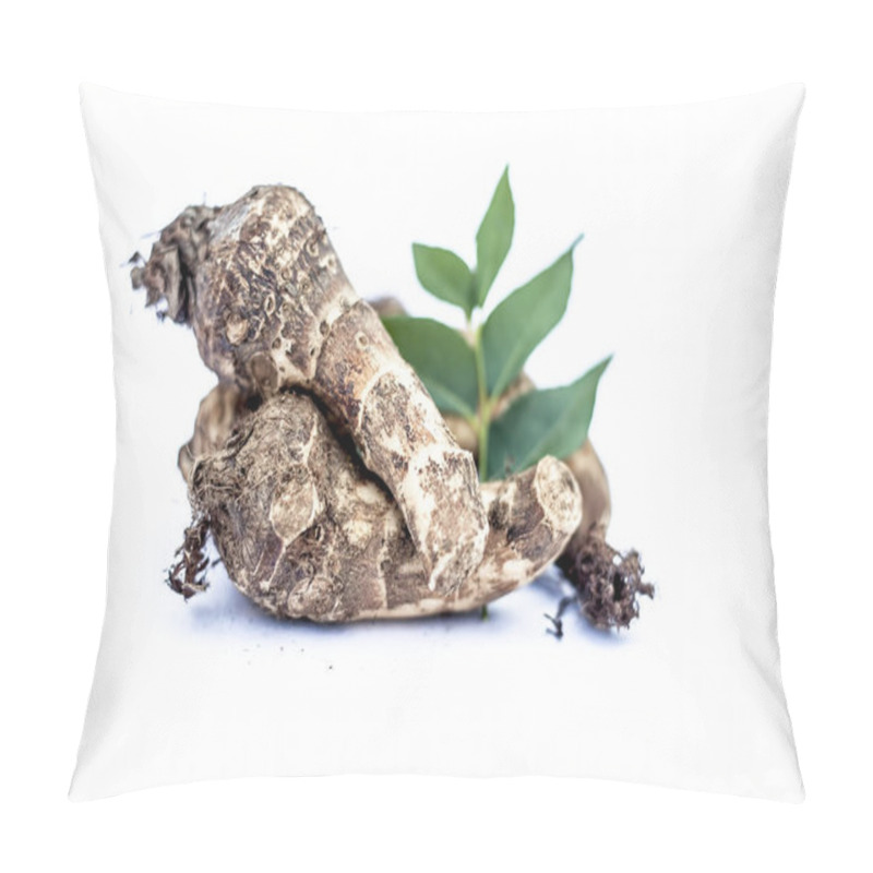 Personality  Close Up Of Rare Vegetable I.e. Roots Of Jack Fruit  Or Jackfruit Roots Isolated On White Also Known As Kathal Or Kathal Ki Chal Or Kathal Ki Gad Or Kathal Ki Jed With Raw Fresh Leaves. Pillow Covers