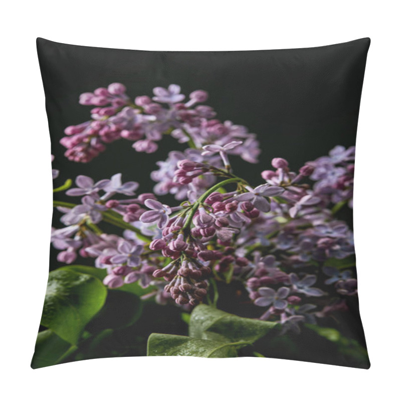 Personality  Close-up Shot Of Aromatic Spring Lilac Flowers Isolated On Black Pillow Covers