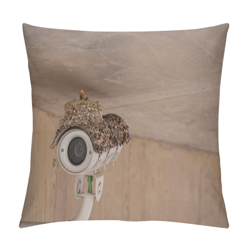 Personality  A Nest With Young Sparrow Chicks On The Top Of A Surveillance Camera In The Foz Coa Museum, Portugal Pillow Covers