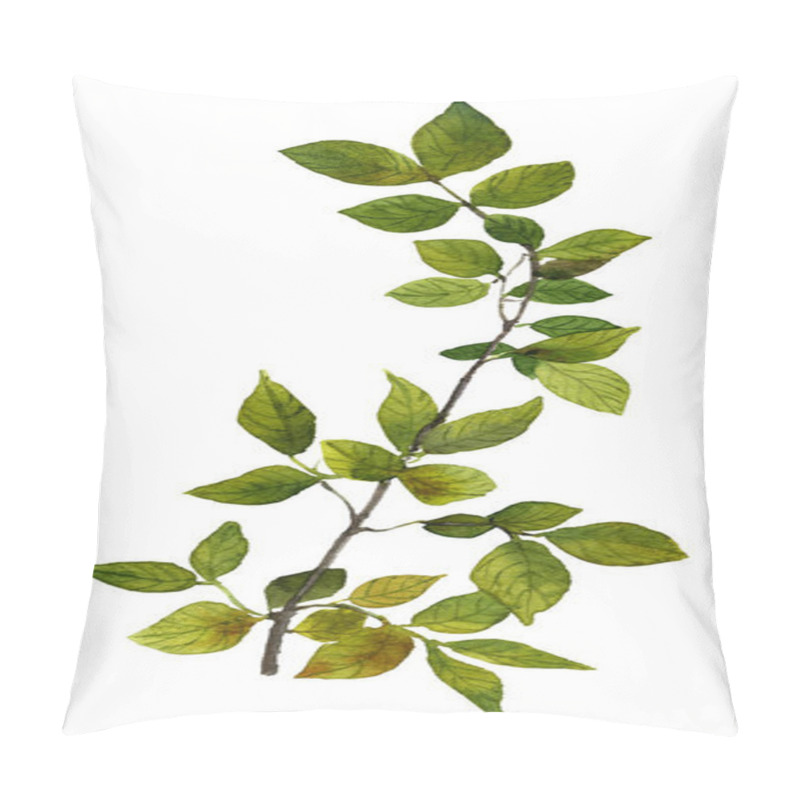 Personality  Picture Of A Tree Branch With Green Leaves Hand Painted In Watercolor On The White Background  Pillow Covers