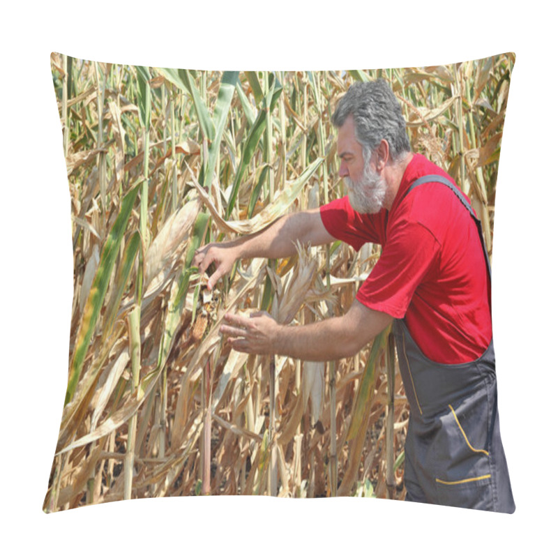 Personality  Agricultural Scene, Farmer Or Agronomist Inspect Damaged Corn Fi Pillow Covers