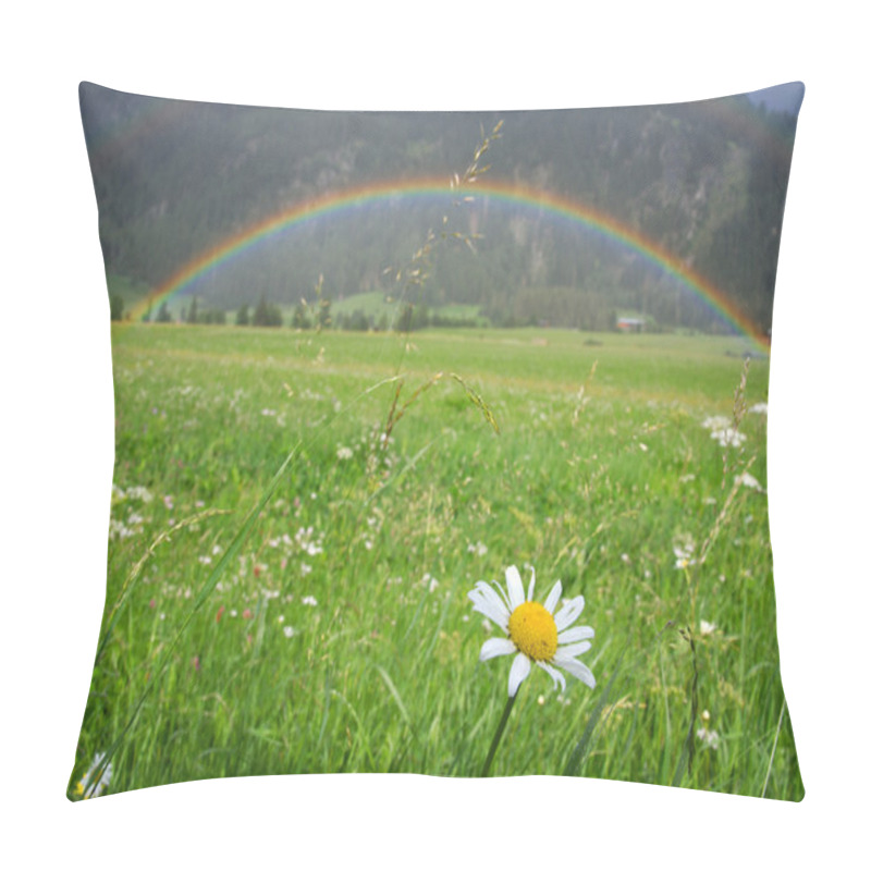 Personality  Rainbow Over A Nice Green Field Pillow Covers