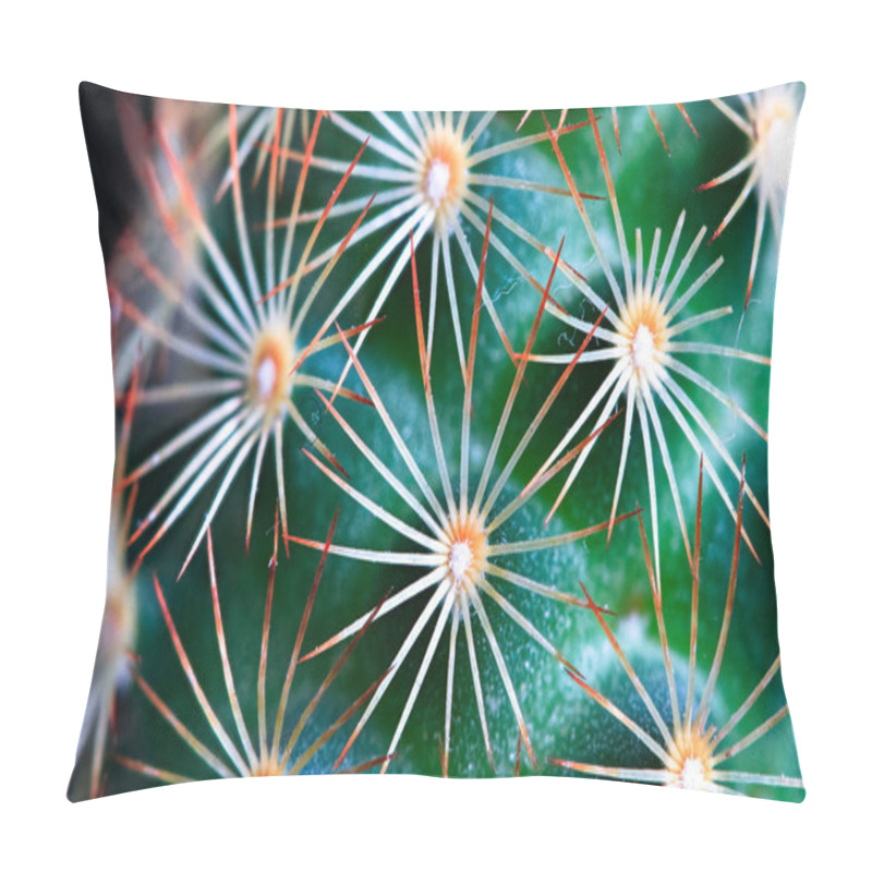 Personality  A Small Green Cactus With Bright Orange Spines Pillow Covers